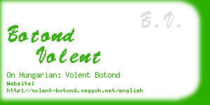 botond volent business card